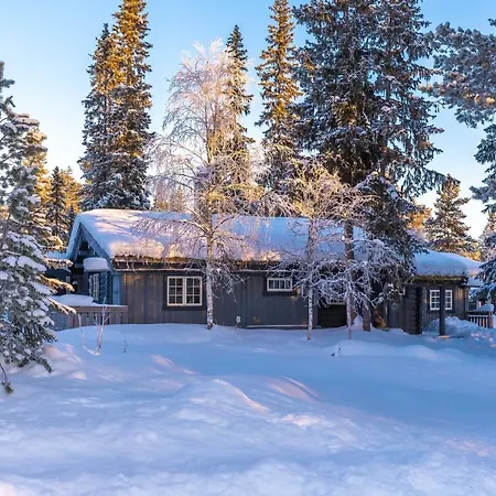 Trysilfjellet Sor 318 Trysil